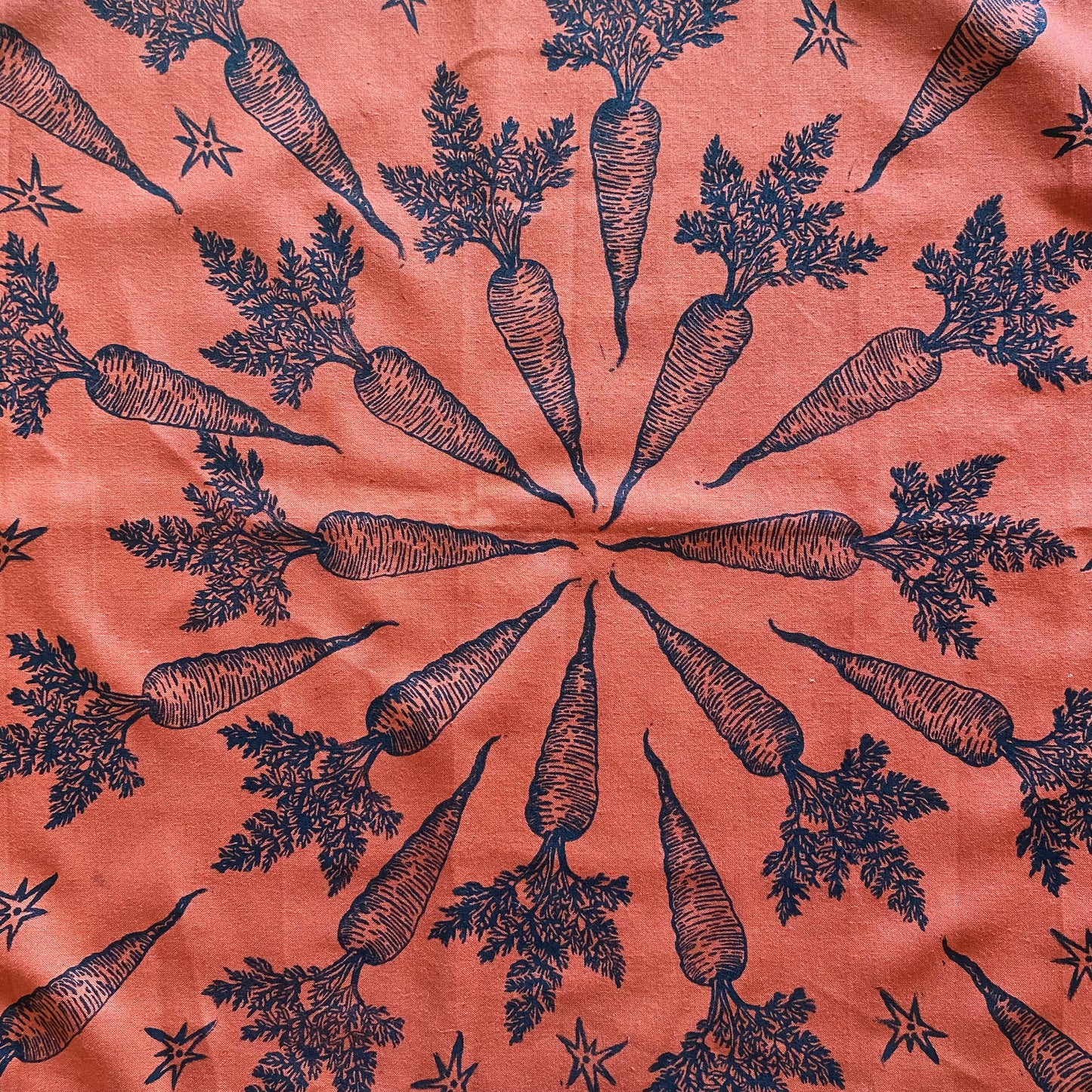 Carrot Magic Block Printed Bandana